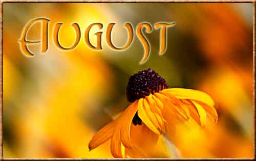 August